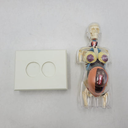 【中古品】 SUPREME シュプリーム 18FW FEMALE ANATOMY MODEL フィメール アナトミー モデル フィギュア 208-260818-cs-17-izu 万代Net店