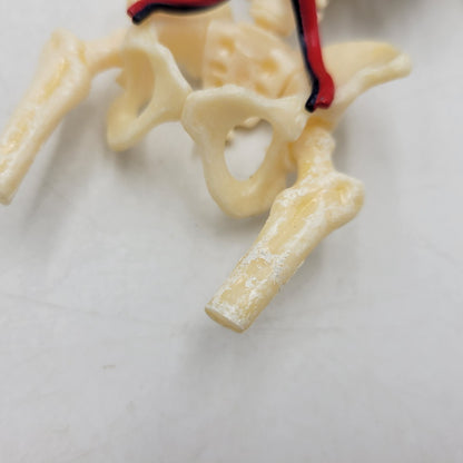 【中古品】 SUPREME シュプリーム 18FW FEMALE ANATOMY MODEL フィメール アナトミー モデル フィギュア 208-260818-cs-17-izu 万代Net店