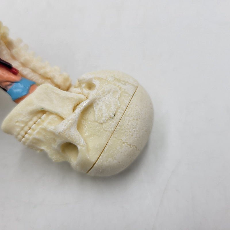 【中古品】 SUPREME シュプリーム 18FW FEMALE ANATOMY MODEL フィメール アナトミー モデル フィギュア 208-260818-cs-17-izu 万代Net店
