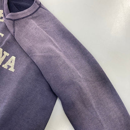 【現状渡し品】【メンズ】 VINTAGE UNIVERSITY OF ARIZONA RAGLANSLEEVE SWEAT SHIRT ラグランスリーブ スウェットシャツ トップス 146-260817-kh-03-izu カラー：パープル系 万代Net店