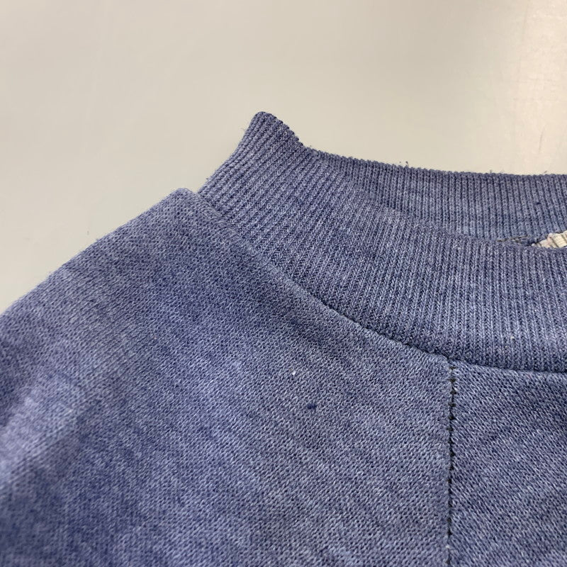 【現状渡し品】【メンズ】 HEALTHKNIT ヘルスニット ILLINOIS RAGLAN SWEAT SHIRT ラグラン スウェットシャツ USA製 146-260903-as-35-izu サイズ：L カラー：ネイビー系 万代Net店