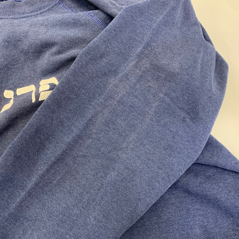 【中古品】【メンズ】 VINTAGE ヴィンテージ ヘブライ語 SAN FRANCISCO HILLEL RAGLAN SWEATSHIRT サンフランシスコ ヒレル ラグラン スウェット シャツ トップス 146-260827-yn-08-izu サイズ：不明 カラー：ネイビー 万代Net店