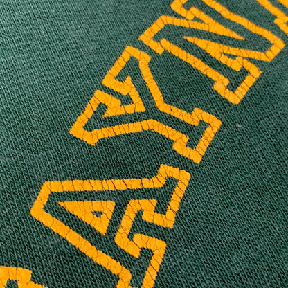 【中古品】【メンズ】 VELVA SHEEN ベルバシーン USA製 70～80’S WAYNE STATE UNIVERSITY RAGLAN SWEAT SHIRT ユニバーシティ ラグラン スウェット シャツ トップス 146-260827-yn-10-izu サイズ：L カラー：グリーン 万代Net店