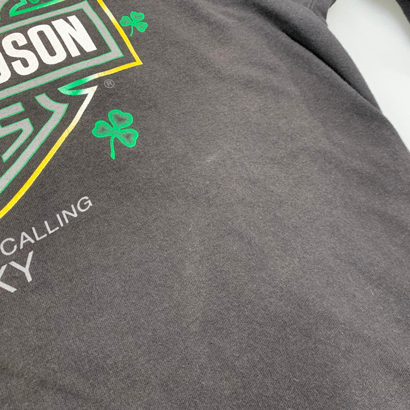 【中古品】【メンズ】 HARLEY-DAVIDSON ハーレーダビッドソン c2012 GREEN FLAME CLOVER LS TEE グリーン フレーム クローバー ロングスリーブ Ｔシャツ トップス 長袖 146-260923-cs-01-izu サイズ：不明 カラー：ブラック 万代Net店