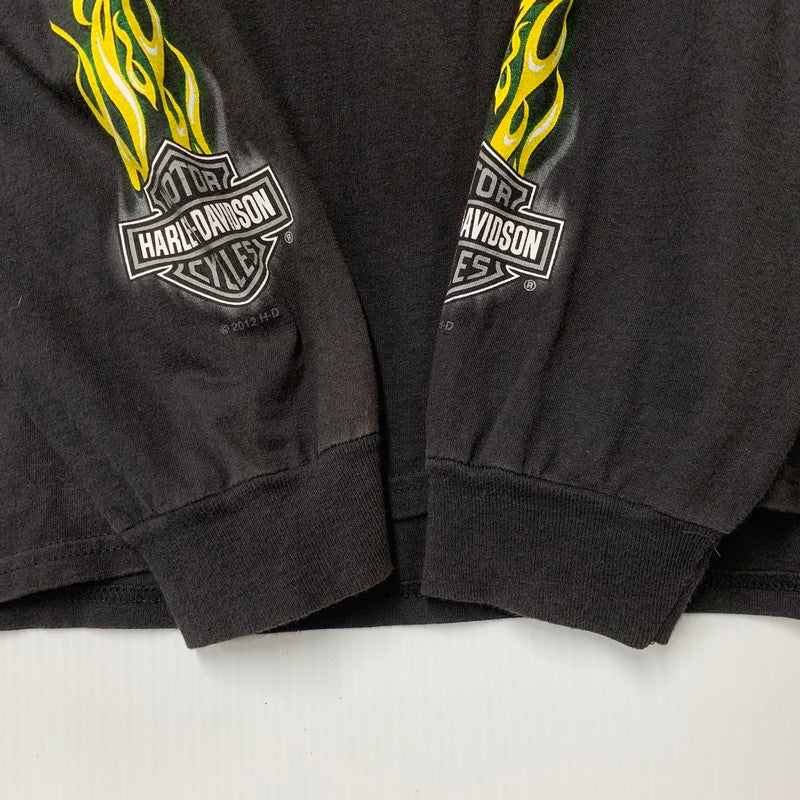 【中古品】【メンズ】 HARLEY-DAVIDSON ハーレーダビッドソン c2012 GREEN FLAME CLOVER LS TEE グリーン フレーム クローバー ロングスリーブ Ｔシャツ トップス 長袖 146-260923-cs-01-izu サイズ：不明 カラー：ブラック 万代Net店