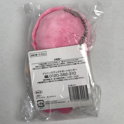 【中古美品】 SnowMan 佐久間大介 すのチルぶら下がりシリーズ ぬいぐるみver. 「Snow Man 1st DOME tour 2023 i DO ME」 スノーマン ファースト ドーム ツアー グッズ 086-251105-mh-20-fuz 万代Net店