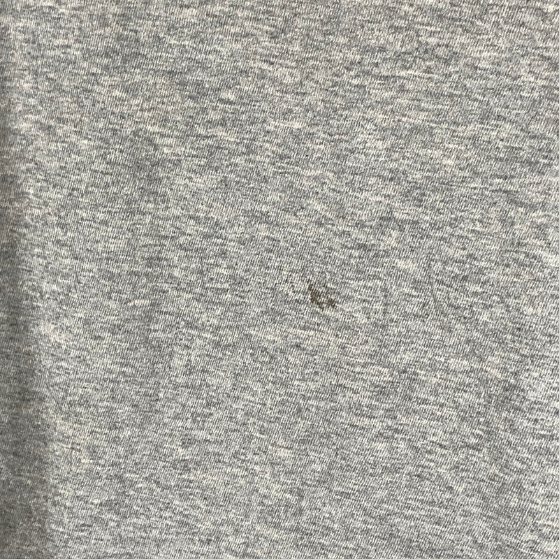 【現状渡し品】【メンズ】 FRUIT OF THE LOOM 半袖Tシャツ 90 90年代 古着 145-260927-gm-41-fuzh サイズ：L カラー：グレー 万代Net店