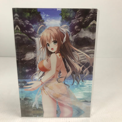 【中古美品】 PlayStation4 PS4 プレイステーション4 プレステ4 ソフト 罪ノ光ランデヴー 完全生産限定版 [CERO区分_C/ 15歳以上対象] 027-251030-mh-18-fuz 万代Net店