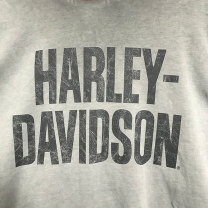 【中古品】【メンズ】 HARLEY-DAVIDSON ハーレーダビッドソン COLORBLOCK DESIGN LS TEE ロゴ Tシャツ 長袖 ロンT トップス 古着 145-250718-mh-01-fuz サイズ：M カラー：グレー ブラック 万代Net店