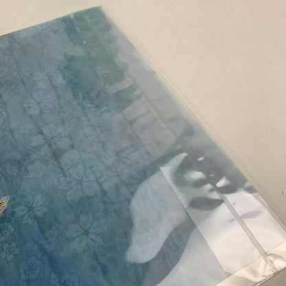 【中古美品】 未使用 未開封 Nintendo Switch ニンテンドー スイッチ ソフト 魔女ガミ-The Witch of Luludidea- クリアファイル付き [CERO区分_B / 12歳以上対象] 029-251203-mh-13-fuz 万代Net店