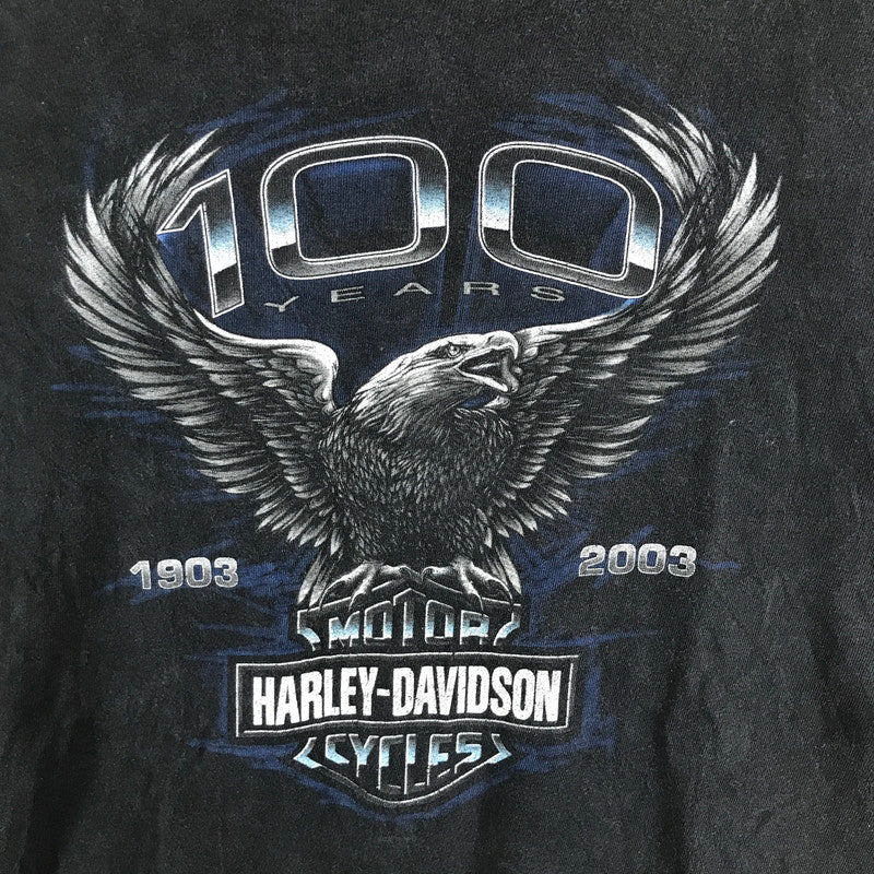 【中古品】【メンズ】 HARLEY DAVIDSON ハーレーダビッドソン 00S SS TEE USA製 半袖 トップス Tシャツ 古着 145-260817-mh-07-fuzh サイズ：XXL カラー：ブラック 万代Net店