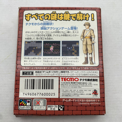 【中古品】 GBC ゲームボーイカラー ソロモン ゲームソフト ソフト任天堂 ニンテンドウ 023-260821-ny-01-fuzh 万代Net店