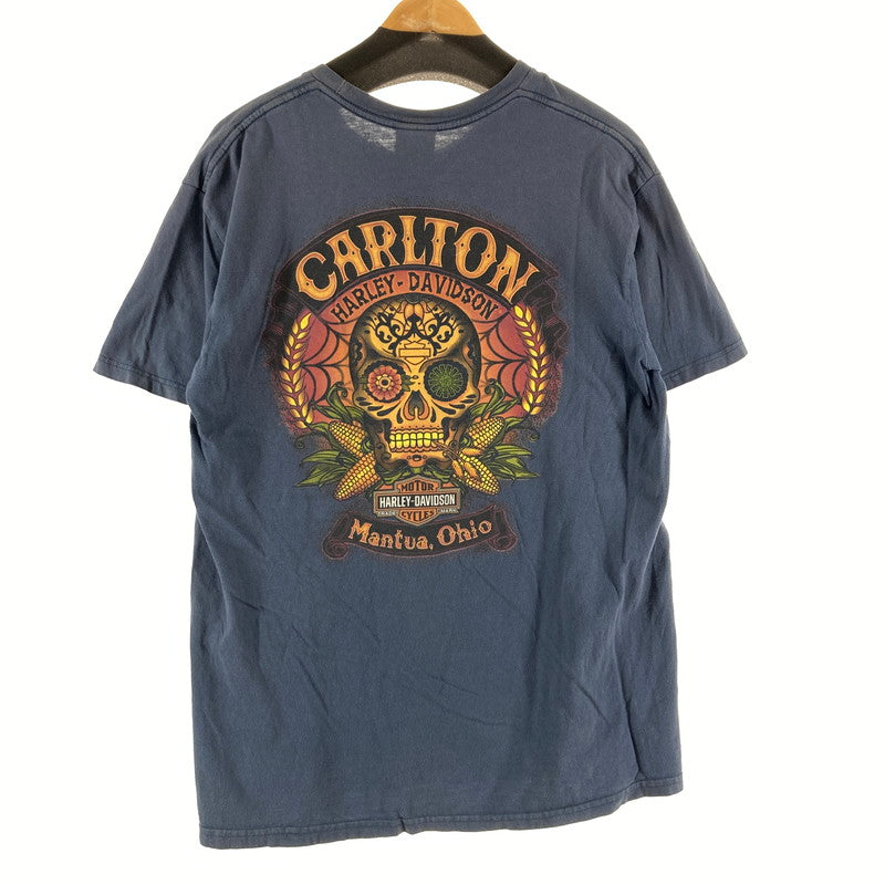 【中古品】【メンズ】 HARLEY DAVIDSON ハーレーダビッドソン 半袖Tシャツ MOTORCYCLES TEE スカル カラーBLUE SIZE:L 145-261016-ky-06-fuzh 万代Net店