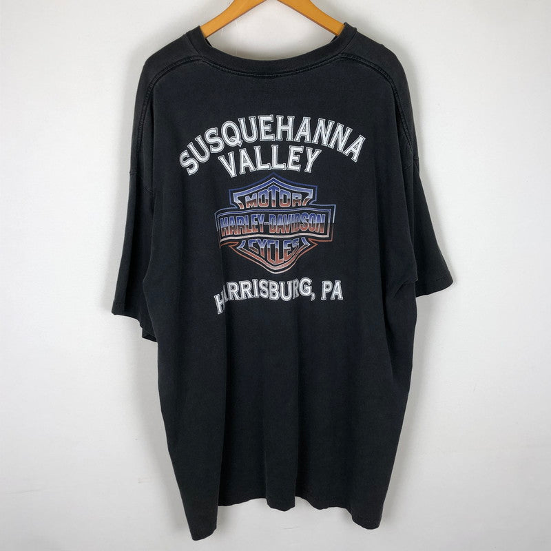 【中古品】【メンズ】 HARLEY DAVIDSON ハーレーダビッドソン DOMINATION S/S TEE ドミネーション ショートスリーブ Tシャツ トップス 半袖 145-251115-ts-18-tei サイズ：3XL カラー：ブラック 万代Net店