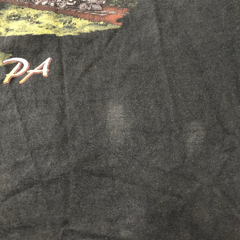 【現状渡し品】【メンズ】 HARLEY DAVIDSON ハーレーダビッドソン 00's BLUE FIRE L/S T-SHIRT 00年代 ブルーファイヤー ロングスリーブ Tシャツ 長袖 トップス 145-250618-kk-18-tei サイズ：3XL カラー：ブラック（色褪せ大） 万代Net店