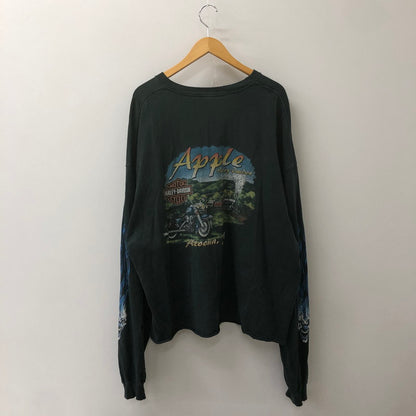【現状渡し品】【メンズ】 HARLEY DAVIDSON ハーレーダビッドソン 00's BLUE FIRE L/S T-SHIRT 00年代 ブルーファイヤー ロングスリーブ Tシャツ 長袖 トップス 145-250618-kk-18-tei サイズ：3XL カラー：ブラック（色褪せ大） 万代Net店