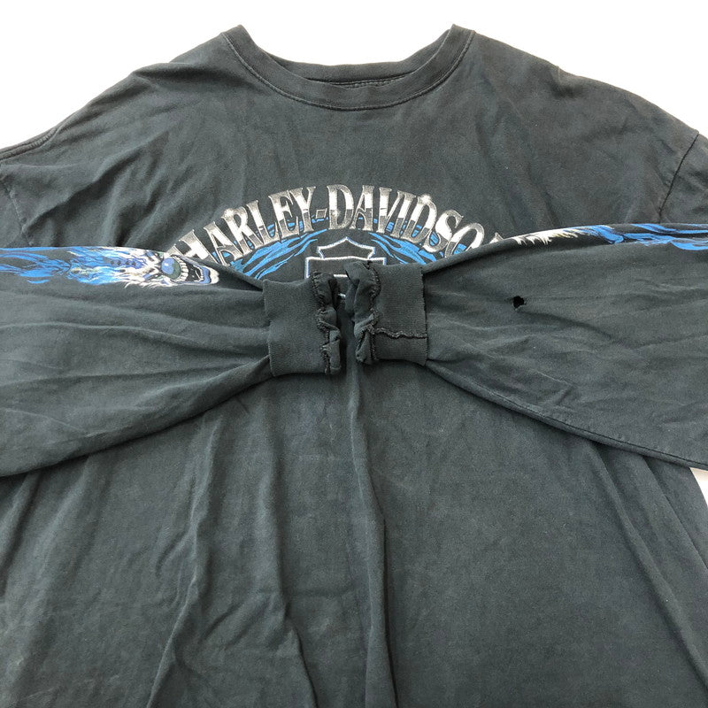 【現状渡し品】【メンズ】 HARLEY DAVIDSON ハーレーダビッドソン 00's BLUE FIRE L/S T-SHIRT 00年代 ブルーファイヤー ロングスリーブ Tシャツ 長袖 トップス 145-250618-kk-18-tei サイズ：3XL カラー：ブラック（色褪せ大） 万代Net店