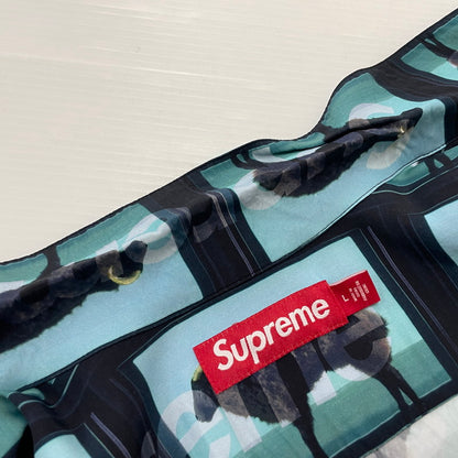 【中古品】【メンズ】 24SS DAMIEN HIRST S/S SHIRT ダミアン ハースト ショートスリーブ シャツ 半袖 トップス 149-251224-yo-01-fuzh サイズ：L カラー：ブラック 万代Net店