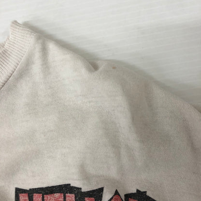 【現状渡し品】【メンズ】 TULTEX タルテックス 90’s NASCAR 100MPH RACING TEE 90年代 ナスカー レーシング Tシャツ 半袖 トップス 145-250629-kk-09-tei サイズ：XL カラー：グレー 万代Net店