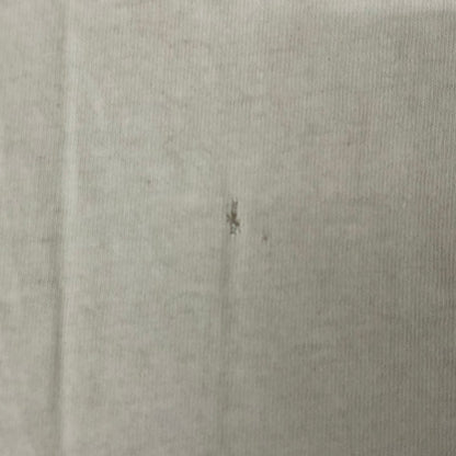 【現状渡し品】【メンズ】 LOONEY TUNES ルーニーチューンズ 90's TWEETY PRINT TEE 90年代 トゥーイーティー プリントTシャツ 半袖 トップス 145-250629-kk-11-tei サイズ：表記無し 下記参照 カラー：グレー 万代Net店