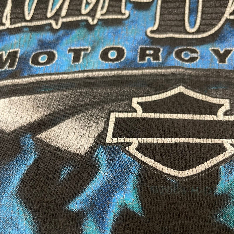 【中古品】【メンズ】 HARLEY DAVIDSON ハーレーダビッドソン BLUE FIRE LOGO BACK THUNDER PRINT TEE ブルーファイヤー ロゴ バックサンダープリント Tシャツ 半袖 トップス HANESボディ 145-250701-kk-14-tei サイズ：L カラー：ブラック 万代Net店