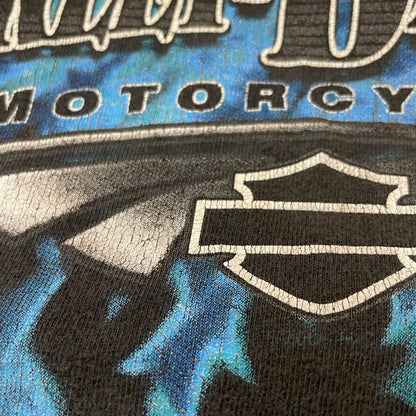 【中古品】【メンズ】 HARLEY DAVIDSON ハーレーダビッドソン BLUE FIRE LOGO BACK THUNDER PRINT TEE ブルーファイヤー ロゴ バックサンダープリント Tシャツ 半袖 トップス HANESボディ 145-250701-kk-14-tei サイズ：L カラー：ブラック 万代Net店