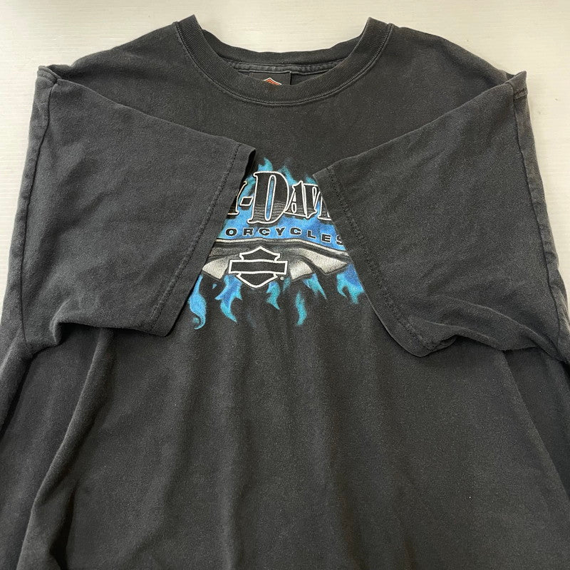 【中古品】【メンズ】 HARLEY DAVIDSON ハーレーダビッドソン BLUE FIRE LOGO BACK THUNDER PRINT TEE ブルーファイヤー ロゴ バックサンダープリント Tシャツ 半袖 トップス HANESボディ 145-250701-kk-14-tei サイズ：L カラー：ブラック 万代Net店