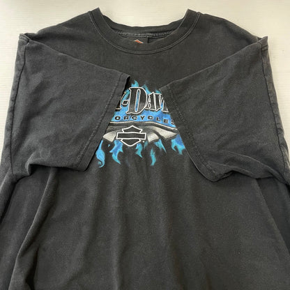 【中古品】【メンズ】 HARLEY DAVIDSON ハーレーダビッドソン BLUE FIRE LOGO BACK THUNDER PRINT TEE ブルーファイヤー ロゴ バックサンダープリント Tシャツ 半袖 トップス HANESボディ 145-250701-kk-14-tei サイズ：L カラー：ブラック 万代Net店