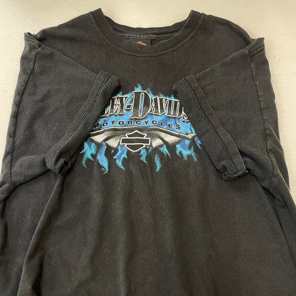 【中古品】【メンズ】 HARLEY DAVIDSON ハーレーダビッドソン BLUE FIRE LOGO BACK THUNDER PRINT TEE ブルーファイヤー ロゴ バックサンダープリント Tシャツ 半袖 トップス HANESボディ 145-250701-kk-14-tei サイズ：L カラー：ブラック 万代Net店