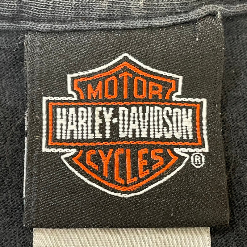 【中古品】【メンズ】 HARLEY DAVIDSON ハーレーダビッドソン BLUE FIRE LOGO BACK THUNDER PRINT TEE ブルーファイヤー ロゴ バックサンダープリント Tシャツ 半袖 トップス HANESボディ 145-250701-kk-14-tei サイズ：L カラー：ブラック 万代Net店