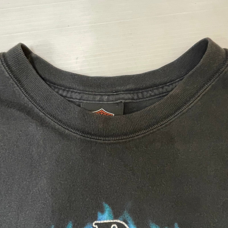 【中古品】【メンズ】 HARLEY DAVIDSON ハーレーダビッドソン BLUE FIRE LOGO BACK THUNDER PRINT TEE ブルーファイヤー ロゴ バックサンダープリント Tシャツ 半袖 トップス HANESボディ 145-250701-kk-14-tei サイズ：L カラー：ブラック 万代Net店