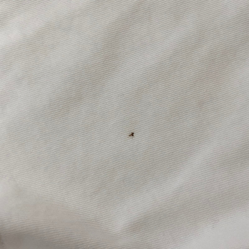 【中古品】【メンズ】 A BATHING APE アベイシングエイプ REFLECTIVE PRINT TEE 001CSJ801006M リフレクティブ プリント Tシャツ 半袖 トップス 142-250721-yo-08-tei サイズ：XL カラー：ホワイト 万代Net店