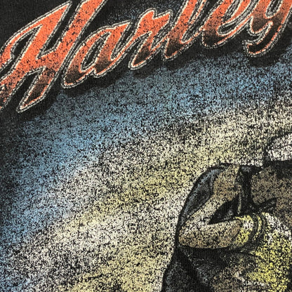 【現状渡し品】【メンズ】 HARLEY DAVIDSON ハーレーダビッドソン 00’s HARLEY HEAVEN SKULL TEE S/S 2000年代 ハーレーヘヴンスカルTシャツ ショートスリーブ トップス 半袖 145-250824-ts-20-tei サイズ：サイズ不明 カラー：ブラック 万代Net店