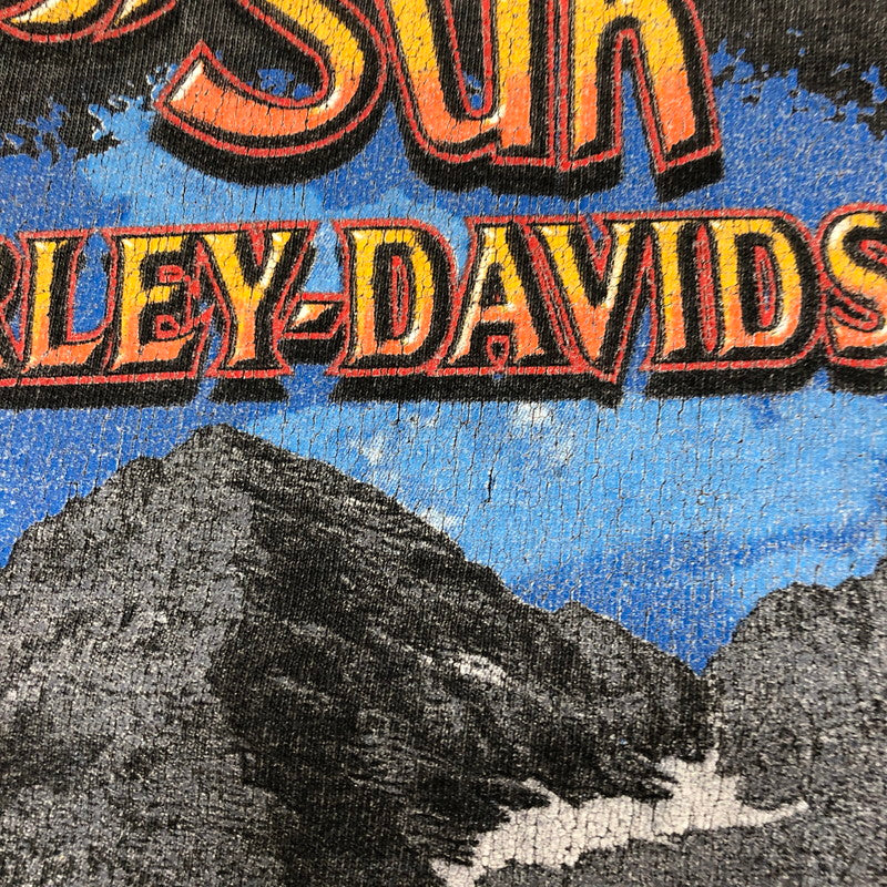 【現状渡し品】【メンズ】 HARLEY DAVIDSON ハーレーダビッドソン DENVER COLORADO TEE S/S MADE IN USA デンバーコロラド Tシャツ ショートスリーブ トップス 半袖 USA製 145-250824-ts-19-tei サイズ：XL カラー：ブラック 万代Net店