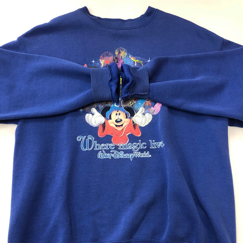 【中古品】【メンズ】 WALT DISNEY ウォルト・ディズニー 90's PRINT LOGO PULLOVER SWEAT 90年代 プリント ロゴ プルオーバー スウェット トップス トレーナー 145-250829-KS-12-fuz サイズ：M カラー：ブルー 万代Net店