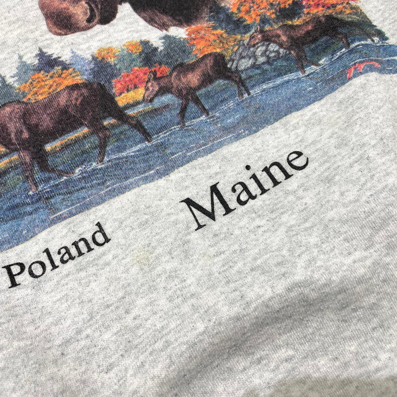 【中古品】【メンズ】 FRUIT OF THE LOOM フルーツ オブ ザ ルーム 90's ELK PRINT SWEAT 90年代 エルク プリント スウェット 長袖 トップス トレーナー 145-260828-yo-15-teih サイズ：L カラー：グレー 万代Net店