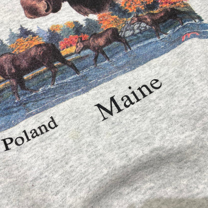 【中古品】【メンズ】 FRUIT OF THE LOOM フルーツ オブ ザ ルーム 90's ELK PRINT SWEAT 90年代 エルク プリント スウェット 長袖 トップス トレーナー 145-260828-yo-15-teih サイズ：L カラー：グレー 万代Net店