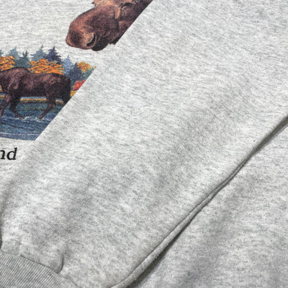 【中古品】【メンズ】 FRUIT OF THE LOOM フルーツ オブ ザ ルーム 90's ELK PRINT SWEAT 90年代 エルク プリント スウェット 長袖 トップス トレーナー 145-260828-yo-15-teih サイズ：L カラー：グレー 万代Net店