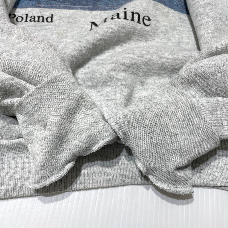 【中古品】【メンズ】 FRUIT OF THE LOOM フルーツ オブ ザ ルーム 90's ELK PRINT SWEAT 90年代 エルク プリント スウェット 長袖 トップス トレーナー 145-260828-yo-15-teih サイズ：L カラー：グレー 万代Net店