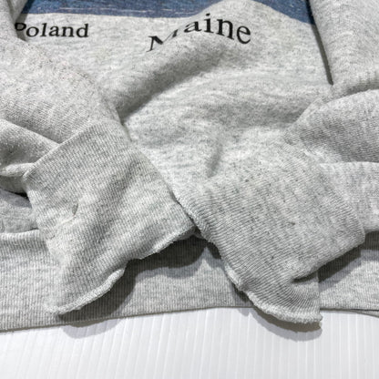 【中古品】【メンズ】 FRUIT OF THE LOOM フルーツ オブ ザ ルーム 90's ELK PRINT SWEAT 90年代 エルク プリント スウェット 長袖 トップス トレーナー 145-260828-yo-15-teih サイズ：L カラー：グレー 万代Net店