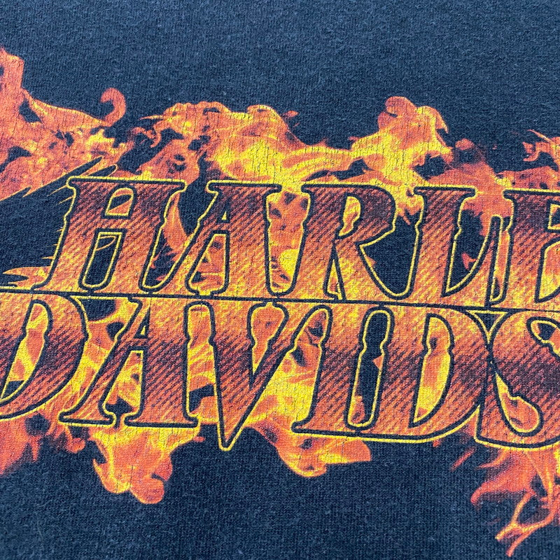 【中古品】【メンズ】 FLAME BIRD LOGO L/S TEE フレイム バード ロゴ ロングスリーブ Tシャツ 長袖 トップス 145-260401-ks-11-fuzh サイズ：L カラー：ブラック 万代Net店