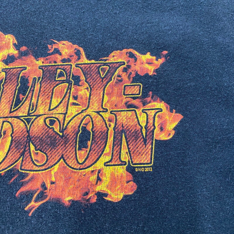 【中古品】【メンズ】 FLAME BIRD LOGO L/S TEE フレイム バード ロゴ ロングスリーブ Tシャツ 長袖 トップス 145-260401-ks-11-fuzh サイズ：L カラー：ブラック 万代Net店