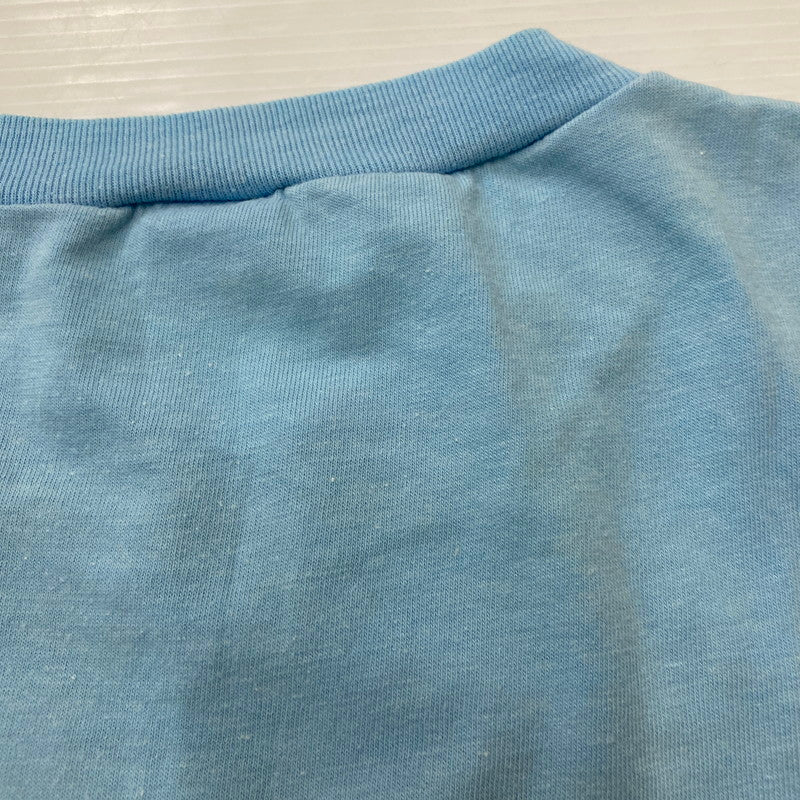 【中古品】【メンズ】 ARTEX アルテックス 80's DESTINATION SAND SUN SURF SNOOPY TEE VINTAGE 80年代 ディスティネーション サンド サン サーフ スヌーピー Tシャツ 半袖 トップス 145-260424-ks-08-tei サイズ：M カラー：ブルー 万代Net店