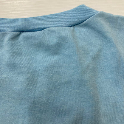 【中古品】【メンズ】 ARTEX アルテックス 80's DESTINATION SAND SUN SURF SNOOPY TEE VINTAGE 80年代 ディスティネーション サンド サン サーフ スヌーピー Tシャツ 半袖 トップス 145-260424-ks-08-tei サイズ：M カラー：ブルー 万代Net店