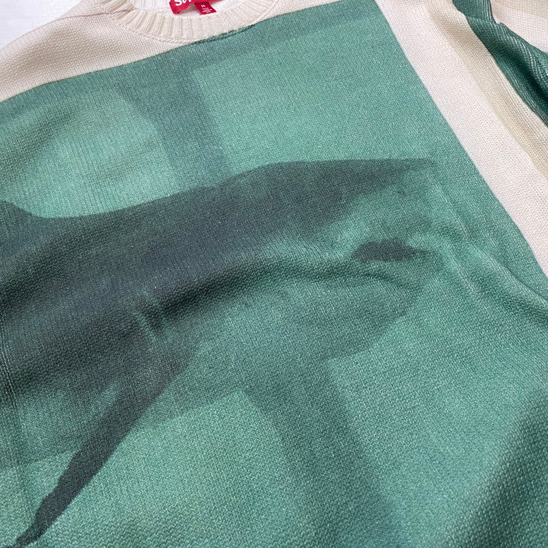 【中古品】【メンズ】 SUPREME シュプリーム 25SS DAMIEN HIRST SWEATER ダミアン・ハースト セーター 長袖 トップス ニット 149-260506-yo-07-tei サイズ：M カラー：グリーン 万代Net店