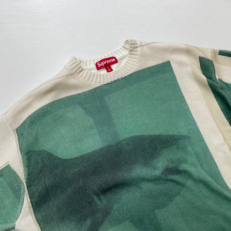 【中古品】【メンズ】 SUPREME シュプリーム 25SS DAMIEN HIRST SWEATER ダミアン・ハースト セーター 長袖 トップス ニット 149-260506-yo-07-tei サイズ：M カラー：グリーン 万代Net店