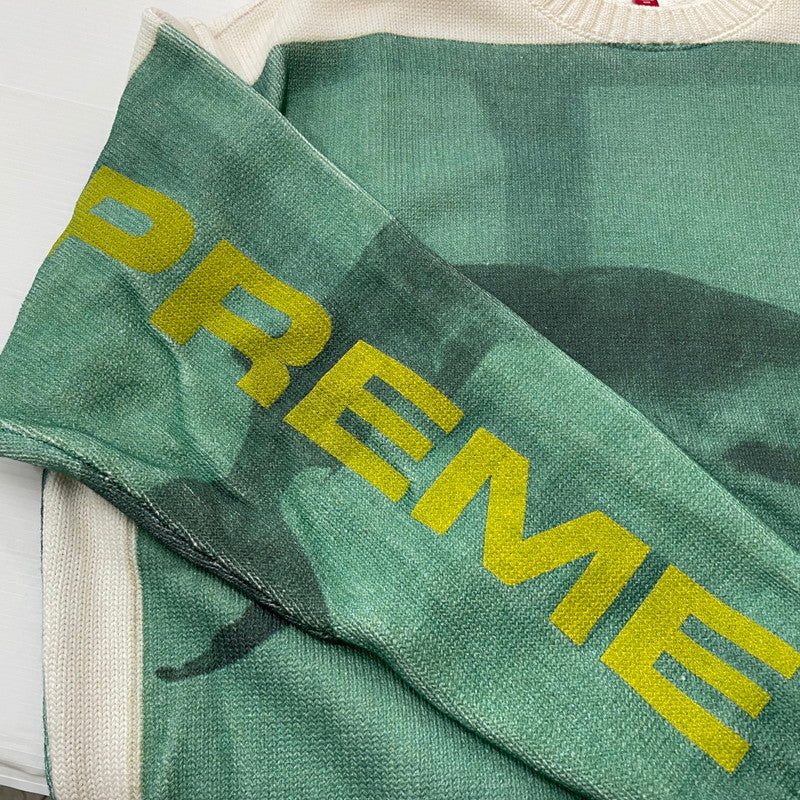【中古品】【メンズ】 SUPREME シュプリーム 25SS DAMIEN HIRST SWEATER ダミアン・ハースト セーター 長袖 トップス ニット 149-260506-yo-07-tei サイズ：M カラー：グリーン 万代Net店