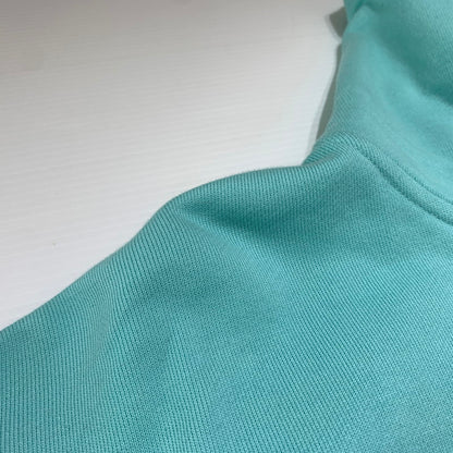 【中古品】【メンズ】 TTT-MSW ティー モダンストリートウエア WAVE LOGO HOODIE TTT-CT-004 ウェーブロゴ フーディ トップス フルジップパーカー 140-260531-ko-10-tei サイズ：L カラー：ミントグリーン 万代Net店