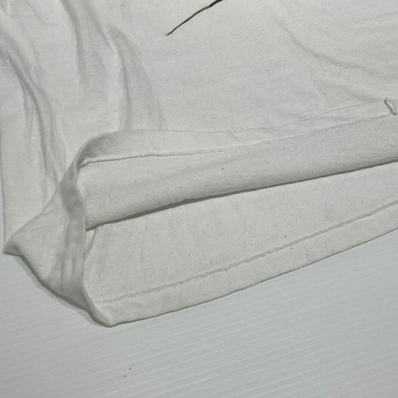 【中古品】【メンズ】 HANES 90S イグアナ プリント ナチュラルワンダーズ ヴィンテージアニマル Tシャツ 145-260818-nm-71-tei サイズ：M カラー：ホワイト 万代Net店