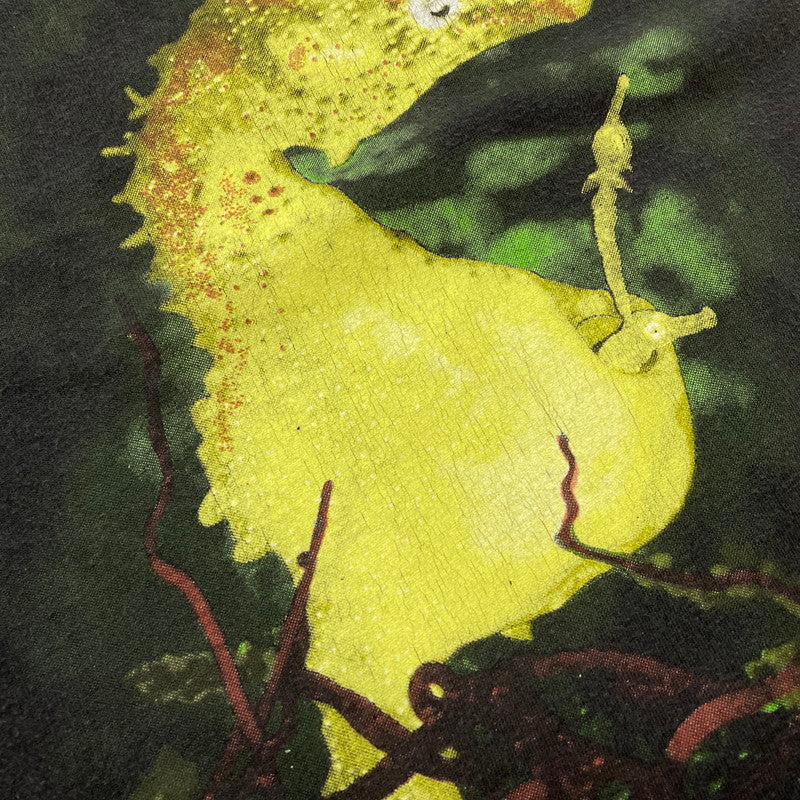 【中古品】【メンズ】 GIANT ジャイアント 90's NIRVANA SEAHORSE TEE 90年代 ニルヴァーナ シーホース Tシャツ 半袖 トップス 145-620618-sa-01-tei サイズ：L カラー：ブラック 万代Net店